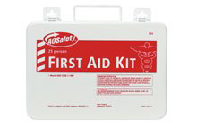 FIRST AID KIT - 25 PERSON SIZE - Click Image to Close